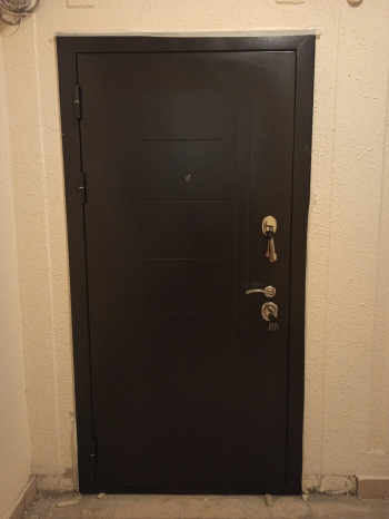 Фото Двери с порошком №122